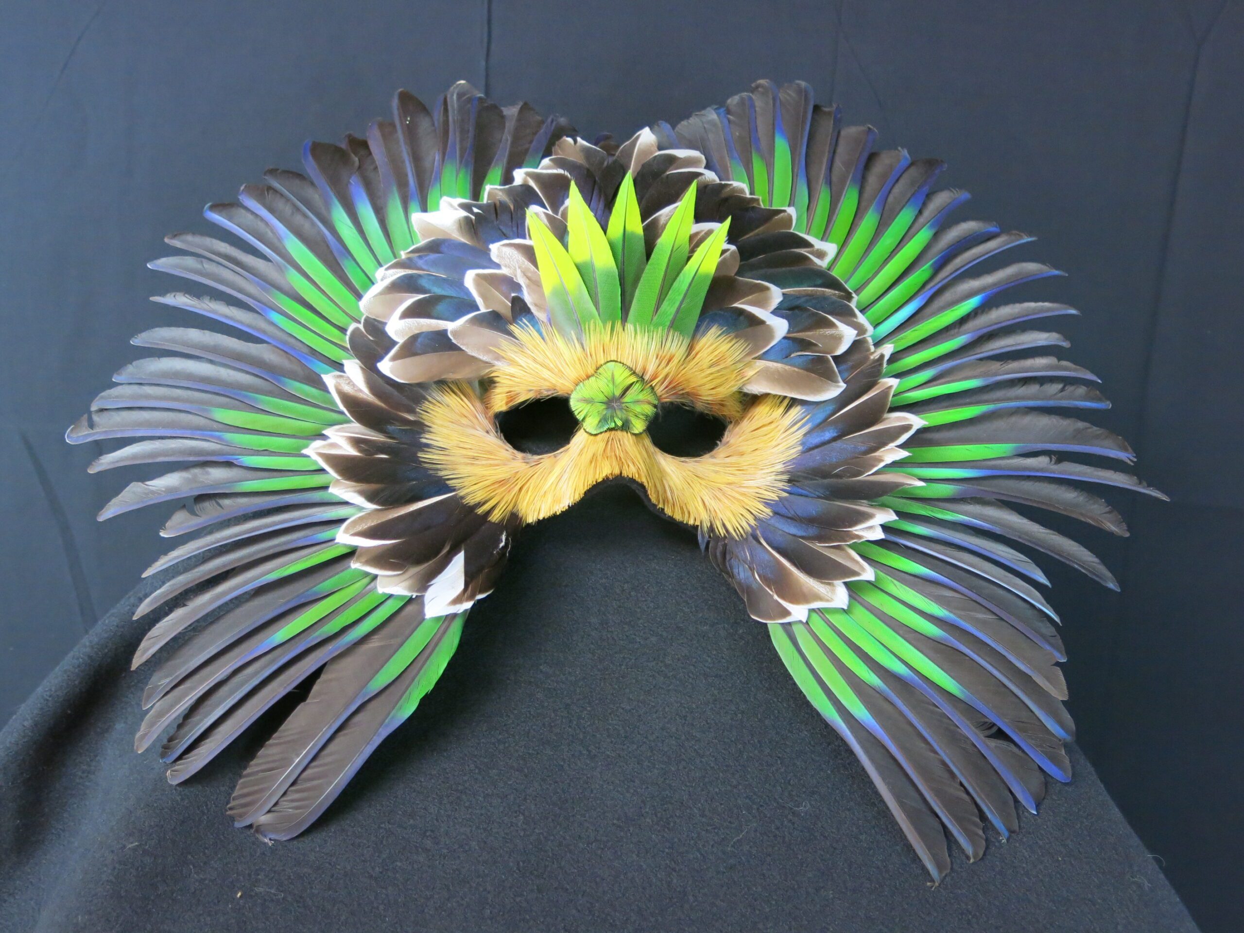 Lorra Lee “Sheena” Fantasies Feather Mask